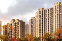 楼市库存近两年来几近翻倍 刚需拉动作用恐被夸大